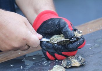 В Риге пройдет Фестиваль устриц! Приглашаются все