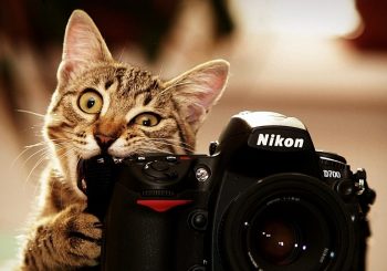 EMOP. История и перспективы фотоискусства