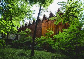 Фестивалю «Музыкальные встречи в Эвиане 2020»  быть