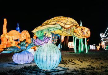 Крупнейший зимний фестиваль в странах Северной Европы приглашает на первую в галактике свадьбу снеговиков