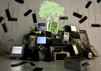 Персональная выставка Юлии Эреско «SOS. Жизнь имеет значение» Часть II