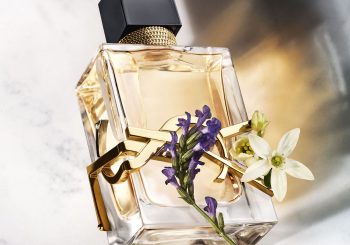 YSL. Новый аромат свободы