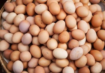 В деревне — больше не бывает!