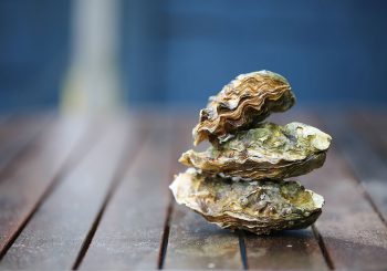 «Фестиваль устриц 2025» — день, когда Рига дышит морем