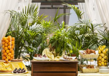 Невыносимая «Легкость Бытия»