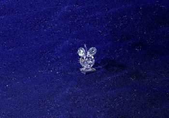 Празднование 125-летия бренда Swarovski: наследие, мастерство и инновации