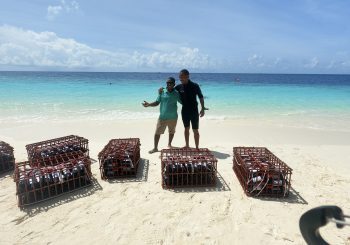 Emerald Maldives Resort & Spa запускает инициативу по выдержке вина в океане