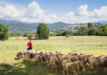 В средневековые деревни на электрических велосипедах из отеля Terre Blanche Hotel Spa Golf Resort