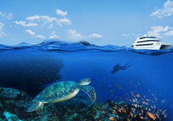 Зимние приключения и морские чудеса на борту лайнера Four Seasons Explorer