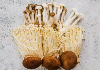 Грибы для иммунитета