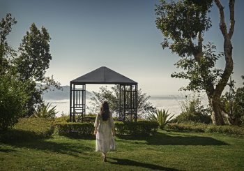 Как еда становится нами?