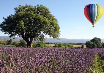 Полет на воздушном шаре над виноградниками: летние активности отеля Airelles Gordes, la Bastide