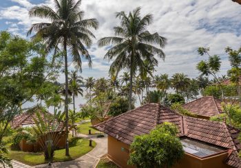 Аюрведический детокс: уникальные программы очищения и омоложения организма в Kalari Rasayna, Индия