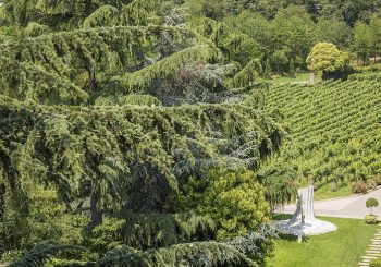 Специальное предложение итальянского отеля L’Albereta Relais & Chateaux к собственному юбилея