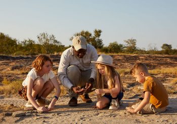 Роскошное сафари для всей семьи: Cheetah Plains запускает акцию «Дети проживают бесплатно»