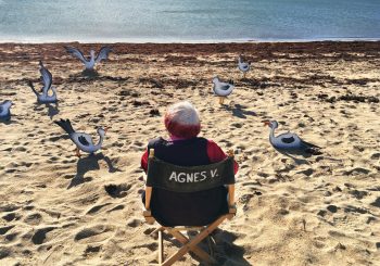 В Риге пройдет 13-й Рижский фестиваль мирового кино с ретроспективой фильмов Аньес Варды